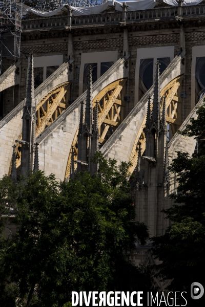 Notre-Dame de Paris 3 mois après l incendie.