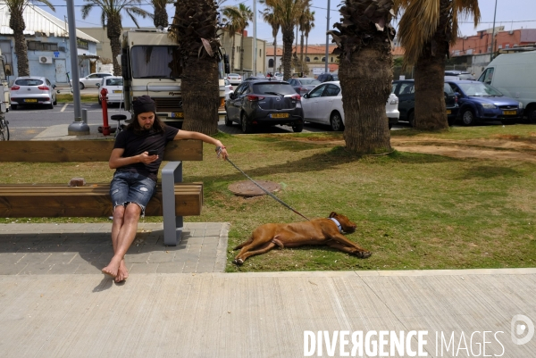 La folie des animaux à Tel AVIV