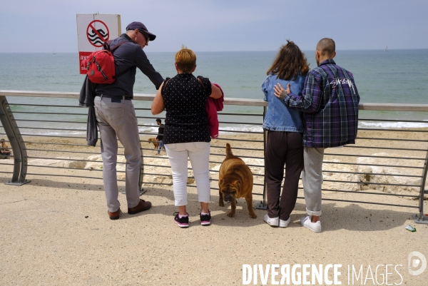 La folie des animaux à Tel AVIV