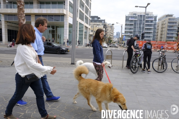 La folie des animaux à Tel AVIV