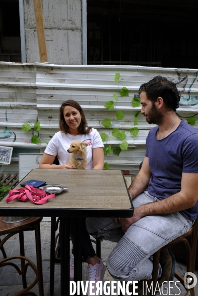 La folie des animaux à Tel AVIV