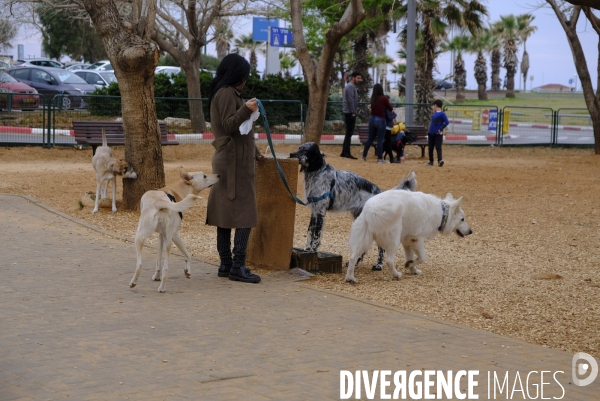 La folie des animaux à Tel AVIV