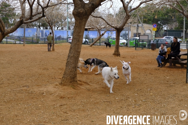 La folie des animaux à Tel AVIV