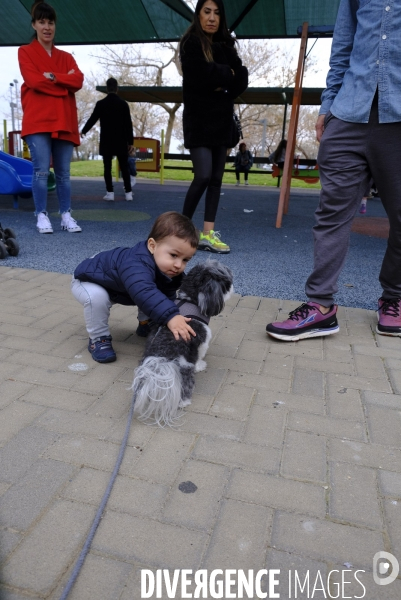 La folie des animaux à Tel AVIV