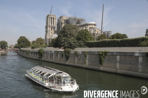 Notre dame le chantier trois mois apres