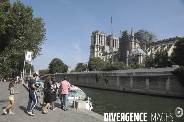 Notre dame le chantier trois mois apres