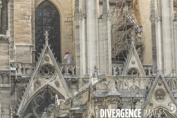 Notre dame le chantier trois mois apres