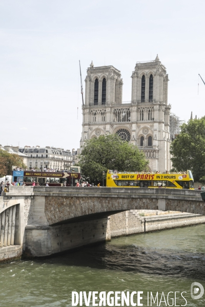 Notre dame le chantier trois mois apres