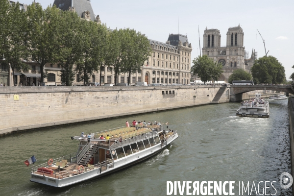 Notre dame le chantier trois mois apres