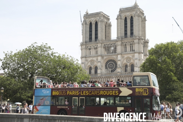 Notre dame le chantier trois mois apres