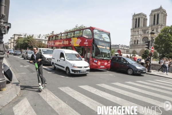 Notre dame le chantier trois mois apres