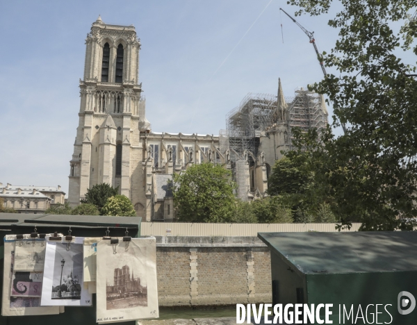 Notre dame le chantier trois mois apres