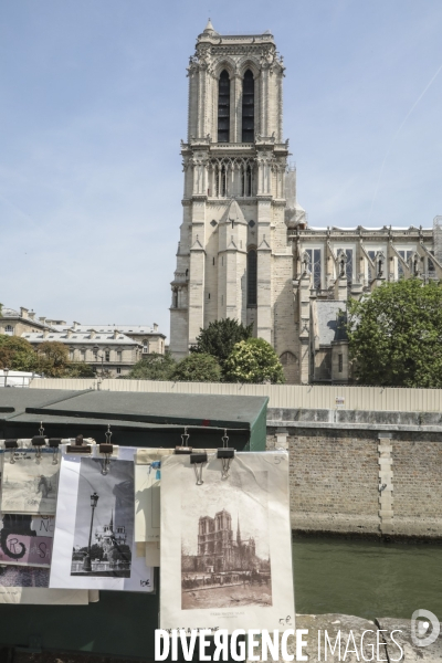 Notre dame le chantier trois mois apres