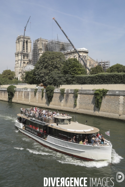 Notre dame le chantier trois mois apres