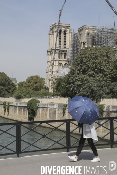 Notre dame le chantier trois mois apres