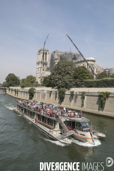 Notre dame le chantier trois mois apres