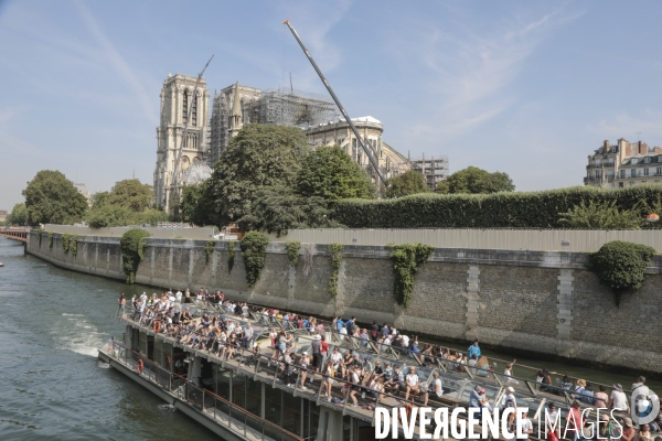 Notre dame le chantier trois mois apres