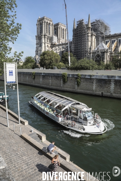 Notre dame le chantier trois mois apres