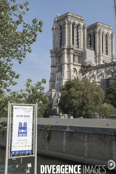 Notre dame le chantier trois mois apres