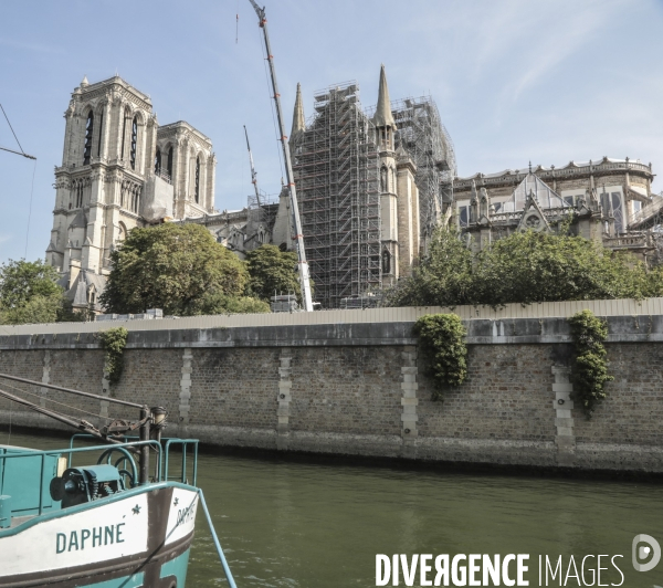 Notre dame le chantier trois mois apres