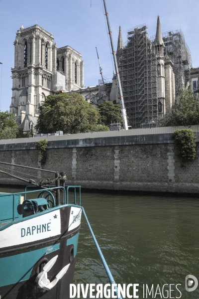 Notre dame le chantier trois mois apres