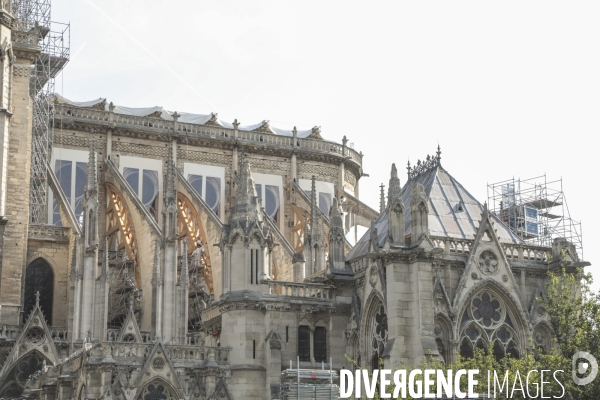 Notre dame le chantier trois mois apres