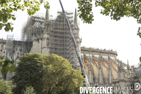 Notre dame le chantier trois mois apres