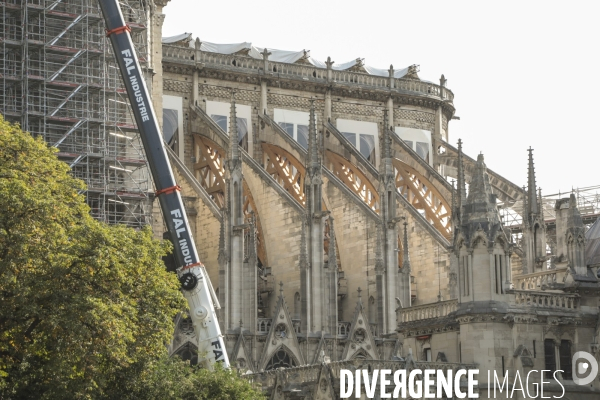 Notre dame le chantier trois mois apres