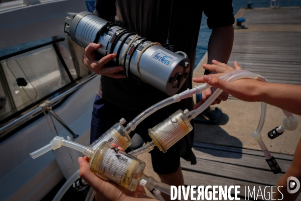 Mission Gombessa V : Planète Méditerranée