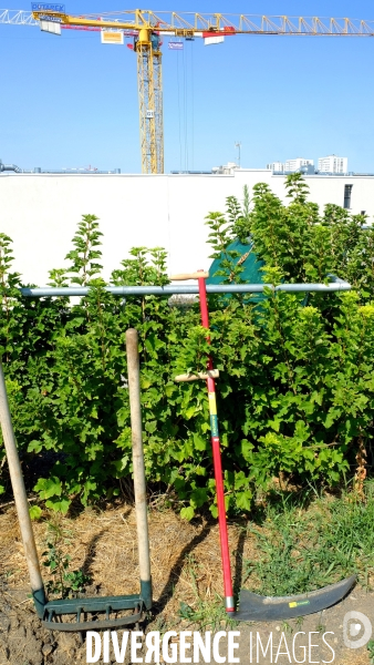 Maraîchage sur les toits du Fashion Center d  Aubervilliers