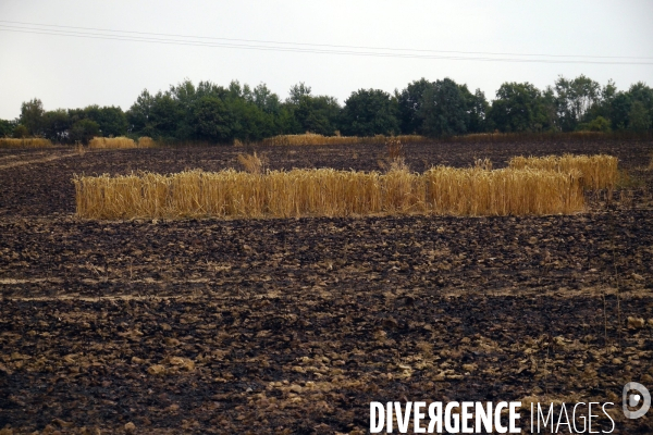 Lendemain d incendies dans l Eure