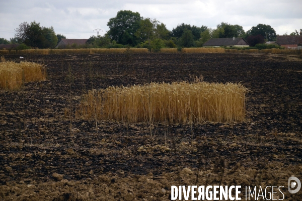 Lendemain d incendies dans l Eure