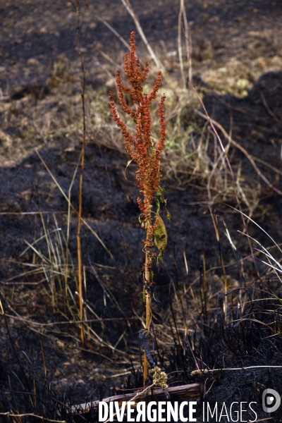 Lendemain d incendies dans l Eure