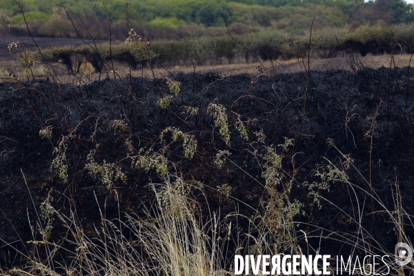 Lendemain d incendies dans l Eure