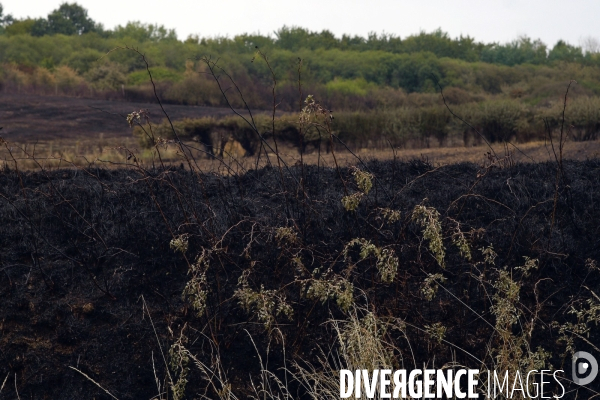 Lendemain d incendies dans l Eure