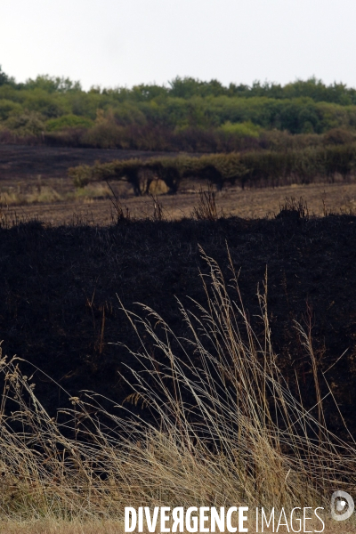 Lendemain d incendies dans l Eure