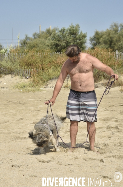 Un chien à la plage en été avec sa famille. A dog at beach in summer.