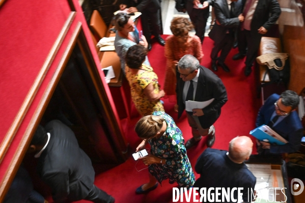 Assemblée nationale.  Vote du CETA. Traité de libre échange.