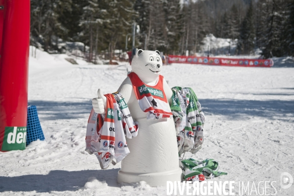 Sports d hiver dans la vallee de Chamonix