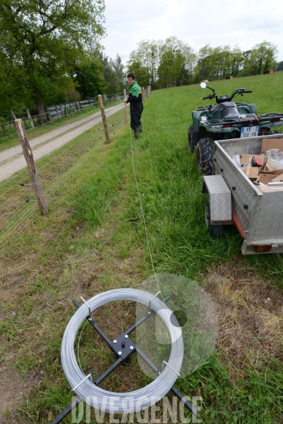 Au jour le jour avec Vincent, jeune agriculteur, eleveur de porc bio en plein air 1/ Installation