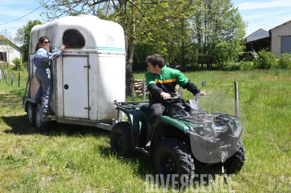 Au jour le jour avec Vincent, jeune agriculteur, eleveur de porc bio en plein air 2/ Reception du verrat