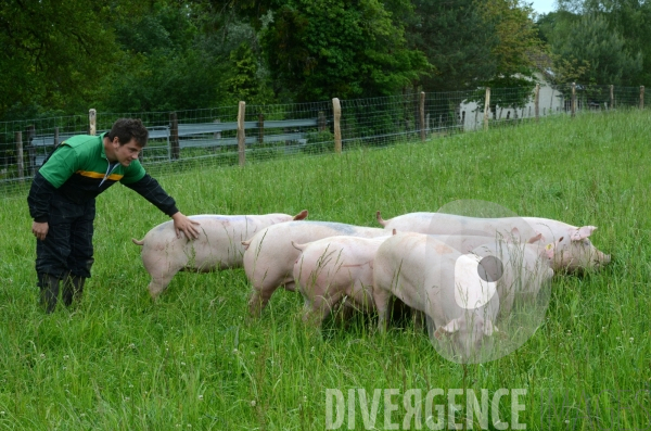 Au jour le jour avec Vincent, jeune agriculteur, eleveur de porc bio en plein air 3/ Reception des truies