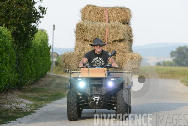 Au jour le jour avec Vincent, jeune agriculteur, eleveur de porcs bio en plein air 5/ Distribution alimentation