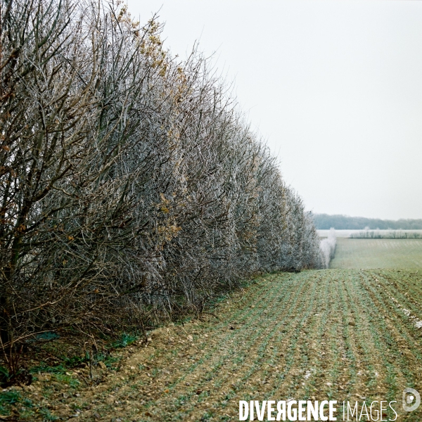 Agriculture respectueuse de l environnement sur le bassin de captage des eaux de Vittel.