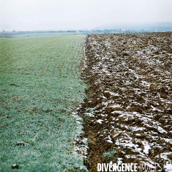 Agriculture respectueuse de l environnement sur le bassin de captage des eaux de Vittel.