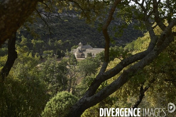 Luberon - Pays d Apt