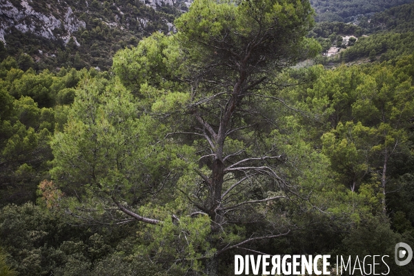 Luberon - Pays d Apt