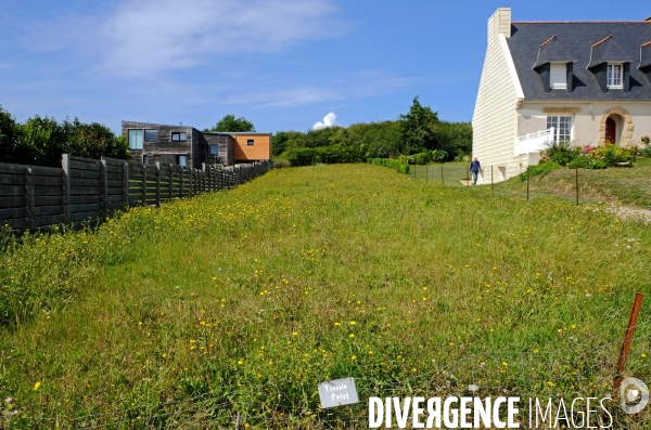 En Bretagne