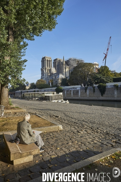 Notre Dame - Travaux 21  aout  2019