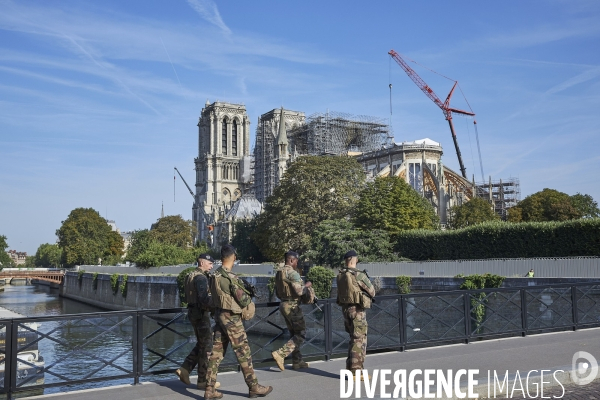 Notre Dame - Travaux 21  aout  2019